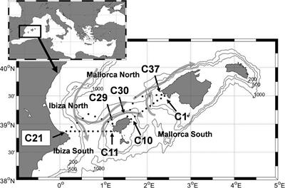 Climatological Hydrographic Properties and Water Mass Transports in the Balearic Channels From Repeated Observations Over 1996–2019